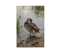 WJHJZQYY Wild Ducks Preening on The Shore, Movements Careful Decorative Wall Mural Modern Hanging Art Poster08x12inch(20x30cm)