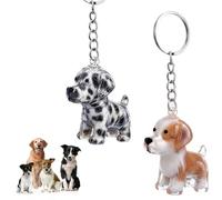 WJIAAA 2 Pcs Dog Fur Keepsake Keyring, Pet Hair Collector Keychain Charm Memorial Storage Box, Transparent Keepsake Collector Portable Memory Capsule with Keyring for Pet Lovers