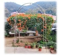 WJIANBIN Arche de jardin en acier inoxydable, treillis métallique résistant aux intempéries pour plantes grimpantes, arche pour rosiers d'extérieur, décoration de pelouse, patio et terrasse