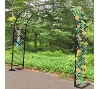 WJIANBIN Arche de jardin en acier noir de 2,3 m et 2,7 m avec treillis pour plantes grimpantes et pergola, idéale pour les mariages et événements. Dimensions : 260 x 270 cm.