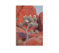 WJJAYLSS Joshua Tree Forest Scenic Unique Cacti Contemporary Wall Mural Art Decorative Hanging Poster12x18inch(30x45cm)