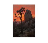 WJJAYLSS Joshua Tree Forest Scenic Unique Cacti Contemporary Wall Mural Art Decorative Hanging Poster12x18inch(30x45cm)