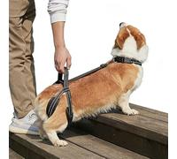 WJJKJH Dog Lift Harness For Rear Legs, Adjustable Support Sling With Handle For Helping Senior, Injured Or Disabled Dogs Climb Stairs, Walk & Get In Cars(S)