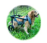WJJKJH Pet Trolley Adjustable Hind Leg Disabled Dog Mobility Aid Light Rehabilitation Legs Wheelchair Walk Tools(X-Large)
