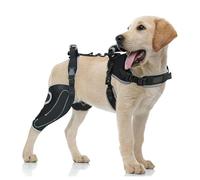 WJJKJH Rear Leg Dog Knee Brace With Full Body Harness, Dual Hind Leg Support For Weak Joints, Adjustable Reflective Dog Hip Brace For Large Breed Senior Dogs Walking Aid(Large)