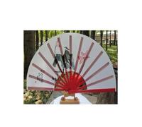 WJLYDM Tai Chi Fan Kung Fu Martial Arts Wushu Art Cosplay Dance Performance Fan(Color 03)