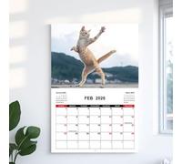 WJnflQN Cat Calendar 2026 | Hangable Monthly Calendar Kung Fu Cat Theme | Jan - Dec 2026, Planner for Wall Workout Planning Office Scheduling Home Gym