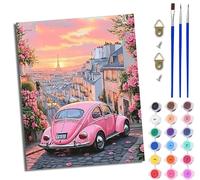 WJWWANG Paint by Numbers Kits for Adults Painting by Number Kits On Canvas Pink Flowers car DIY Color Oil Painting Acrylic Paints,Home Wall Decor 16x20inch/40×50CM, Without Frame