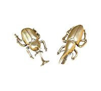 WJXFHTD 2PCS Beetle Figurine Chinese Feng Shui Series Decoration Insect Figurines Decor Office Home Bookshelf Decorations Brass Animal Figurines Vintage Figurine Collectibles