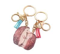 WKabnkn 2 Pcs Fashion Acrylic Hedgehog Pendant Keychains Cartoon Car Keyring Parent-Child Matching Keys Holder Couple Jewelry Hedgehog Charm Keychains For Kids