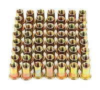 Wkmamo 120 Pcs M8 Rivet Nuts,Zinc Plated Carbon Steel Rivet Nut,Flat Head Threaded Rivetnut Insert Rivnut,Threaded Rivetnut Insert Nutsert