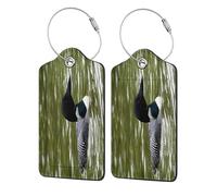 WKSGDSG 2-Pack Luggage Tags for Suitcases, Loon Nature Birds, Personalized Aesthetic PU Leather Baggage Tags with Privacy Protection, Luggage Identifier Travel Id Tag for Cruise Vacations, 2 PCS