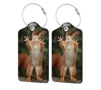 WKSGDSG 2-Pack Luggage Tags for Suitcases, Squirrel Funny Animal, Personalized Aesthetic Pu Leather Baggage Tags with Privacy Protection, Luggage Identifier Travel Id Tag for Cruise Vacations