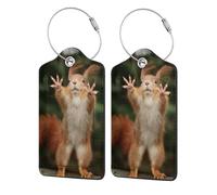 WKSGDSG 2-Pack Luggage Tags for Suitcases, Squirrel Funny Animal, Personalized Aesthetic PU Leather Baggage Tags with Privacy Protection, Luggage Identifier Travel Id Tag for Cruise Vacations, 2 PCS