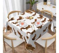 WKSGDSG Farmhouse Tablecloths For Square Tables, Cute Squirrel Table Cloths For Outdoor Indoor Wipeable Washable Soft Polyester Table Cover For Kitchen Party Banquet Home Decor, 137x137cm