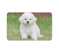 WKSGDSG Indoor Door Mat 80x49 Cm Bichon Frise Dog Front Doormats Non-Slip Indoor Door Mats For Entryway Washable Absorbent Area Rug Soft Welcome Mats For Front Door Entrance Bathroom Inside