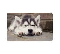 WKSGDSG Indoor Door Mat 80x49 Cm Husky Dog Front Doormats Non-Slip Indoor Door Mats For Entryway Washable Absorbent Area Rug Soft Welcome Mats For Front Door Entrance Bathroom Inside