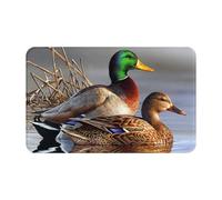 WKSGDSG Indoor Door Mat 80x49 Cm Mallard Duck Front Doormats Non-Slip Indoor Door Mats For Entryway Washable Absorbent Area Rug Soft Welcome Mats For Front Door Entrance Bathroom Inside