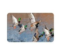 WKSGDSG Indoor Door Mat 80x49 Cm Mallard Ducks Front Doormats Non-Slip Indoor Door Mats For Entryway Washable Absorbent Area Rug Soft Welcome Mats For Front Door Entrance Bathroom Inside