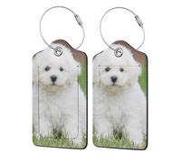 WKSGDSG Luggage Tags for Suitcases, with Privacy Cover, Bichon Frise Dog, Durable Pu Leather Id Tag Luggage Identifier for Travel, Cruise, TSA Approved, Personalized Funny Baggage Labels