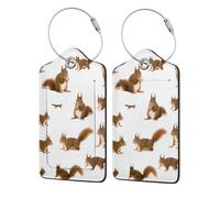 WKSGDSG Luggage Tags for Suitcases, with Privacy Cover, Cute Squirrel, Durable Pu Leather Id Tag Luggage Identifier for Travel, Cruise, TSA Approved, Personalized Funny Baggage Labels