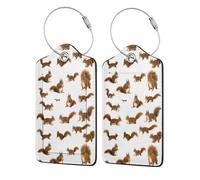 WKSGDSG Luggage Tags for Suitcases, with Privacy Cover, Cute Squirrel, Durable Pu Leather Id Tag Luggage Identifier for Travel, Cruise, TSA Approved, Personalized Funny Baggage Labels, 1 PCS