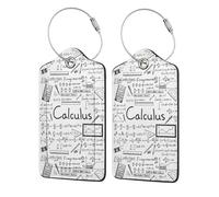 WKSGDSG Luggage Tags for Suitcases, with Privacy Cover, Math Calculus, Durable Pu Leather Id Tag Luggage Identifier for Travel, Cruise, TSA Approved, Personalized Funny Baggage Labels, 1 PCS