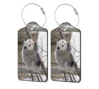 WKSGDSG Luggage Tags for Suitcases, with Privacy Cover, Opossum, Durable Pu Leather Id Tag Luggage Identifier for Travel, Cruise, TSA Approved, Personalized Funny Baggage Labels, 1 PCS