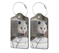 WKSGDSG Luggage Tags for Suitcases, with Privacy Cover, Opossum, Durable Pu Leather Id Tag Luggage Identifier for Travel, Cruise, TSA Approved, Personalized Funny Baggage Labels