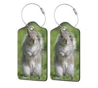 WKSGDSG Luggage Tags for Suitcases, with Privacy Cover, Squirrel, Durable Pu Leather Id Tag Luggage Identifier for Travel, Cruise, TSA Approved, Personalized Funny Baggage Labels