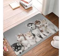 WKSGDSG Non-Slip Flannel Doormat 60x40cm, Super Absorbent Entry Rug, Lovely Dogs Doormats, Anti-Skid Thick Welcome Mat For Front/Back Door, Garage, Patio & Indoor Use