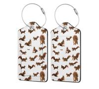 WKSGDSG Personalized Luggage Tags for Suitcases, 4-Pack Waterproof Leather Luggage Identifier with Privacy Cover, Cute Squirrels, Soft Bendable RFID Blocking Suitcase Id Tag for Travel, 4 PCS