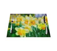 WKSGDSG PVC Table Placemats Set Of 4 Wipeable Indoor Outdoor Table Mats Daffodil Flower Woven Placemats For Dining Table Non-Slip Heat Resistant Place Mats For Kitchen Decoration 45x30 Cm
