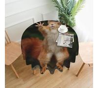WKSGDSG Waterproof Round Tablecloth 152 Cm, Squirrel Funny Animal Tablecloths For Parties, Farmhouse Wrinkle-Resistant Polyester Table Cover For Indoor/Outdoor Dining Decor, Fits 51-120 Cm Tables