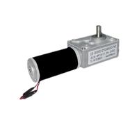 WL-58SW31ZY 31ZY Small 6V12V24V Worm Gear 58 DC Motor 1Pcs