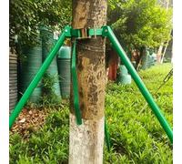 WLCGYD Galvanized Steel Tree Support Pole, Small/Fruit Tree Staking Support Complete Kit 1-3 Meter Tall for Stabilizing Trees After Bad Weather, Tree Protection with Crutch(2.9m/9.5ft)