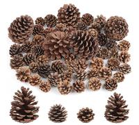 Wlicon 55 PCS Pine Cones Decorations Natural Pinecones, Large Medium & Mini Sizes Pinecones for Table Christmas Tree Crafts Gifts Thanksgiving Fall and Xmas Home Decor DIY Ornaments