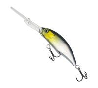 Wlinfetity 17g Floating Minnow Crankbait Fishing Lure with Long Tongue Plate and Noisy Beads for Bass, Suitable for Ponds, Rivers, Lakes and Sea, 1 Pack