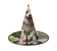 WLKSNBVD Corgi Dog Running on The Railroad Wizard Hat for Adult Halloween Decor Costume Hanging Witch Hat Cosplay Accessory, Black, 1