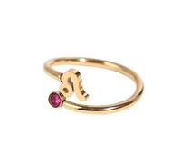 WLLDDDIU 12 Zodiac Adjustable Statement Ring 925 Sterling Sliver Constellation Horoscope Open Ring Cubic Zirconia Birthstone Finger Circlet Astrology Jewellery Gift for Women Girls Gold Aquarius