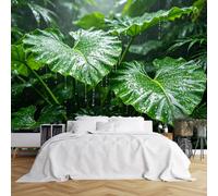 WLLDDDIU 3D Panoramic Peel and Stick Vinyl Wallpaper Mural, Tropical Rainforest Green Leaf Photo Wallpaper Thick Waterproof Removable Self Adhesive Wall Decor for Bedroom Lounge Feature Wall 392X280