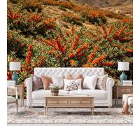 WLLDDDIU 3D Panoramic Self Adhesive Wallpaper Mural for Living Room, Orange Wild Fruit Bush Natural Scenery Wallpaper Peel and Stick Waterproof Removable Vinyl Wall Covering Home Decor 365X254Cm(144