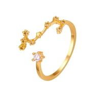 WLLDDDIU 925 Sterling Silver Cz 12 Zodiac Ring for Women Men Adjustable Open Thumb Ring Thin Stackable Constellation Astrology Statement Band Jewelry Birthday Gifts Gold Capricorn