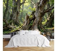 WLLDDDIU Large Ancient Oak Tree Forest Wall Mural Vintage Rustic Sunlit Woodland Nature Landscape Wallpaper Custom Size Peel & Stick Wallpaper for Bedroom Living Room 120×80Cm(47×31inch)