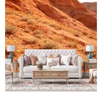 WLLDDDIU Large Custom Self Adhesive Wallpaper Mural, Rusty Red Desert Wild Flower Landscape Wallpaper Peel and Stick Waterproof Removable Vinyl Wall Covering for Living Room Bedroom Lounge 300X250Cm