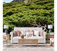 WLLDDDIU Mountain Pine Forest Landscape Wallpaper, 3D Panoramic Self Adhesive Wallpaper Mural Peel and Stick Waterproof Removable Vinyl Wrap for Living Room Sofa Background Wall 365X254Cm(144X100inc