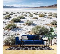 WLLDDDIU Salt Lake Landscape Wallpaper, 3D Panoramic Custom Self Adhesive Wallpaper Mural Peel and Stick Waterproof Natural Mountain Desert Scenery Vinyl Wrap for Living Room Bedroom Office 365X254C