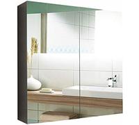 WLLXTK Stainless Steel Bathroom Wall Cabinet, Kitchen Storage Cabinet with Full Coverage Doors, Recessed or shallow Mounting, Silver,Double Door (Double Door)