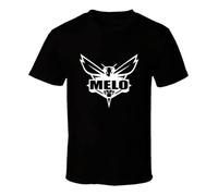 WLMDZYH Lamelo Ball Charlotte Hornets T-Shirt Graphic Tee for Men Black