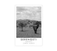 WLQZFRWV Serengeti Travel, Serengeti Poster (2) Canvas Poster Wall Art Decor Print Picture Paintings for Living Room Bedroom Decoration 20x30inch(50x75cm)